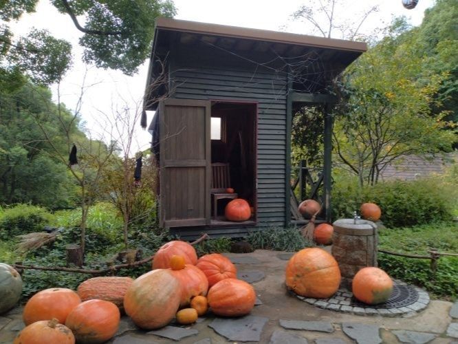 ハロウィーン
