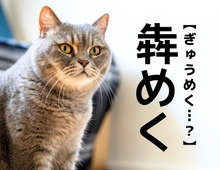 【蠢く】は「うごめく」。では【犇めく】は何と読む？一発で答えられたら天才！｜漢字クイズ