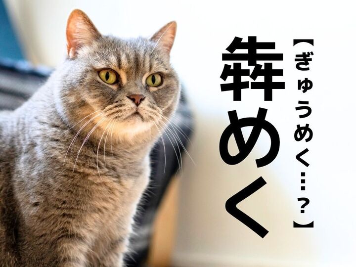 【蠢く】は「うごめく」。では【犇めく】は何と読む?一発で答えられたら天才!|漢字クイズ