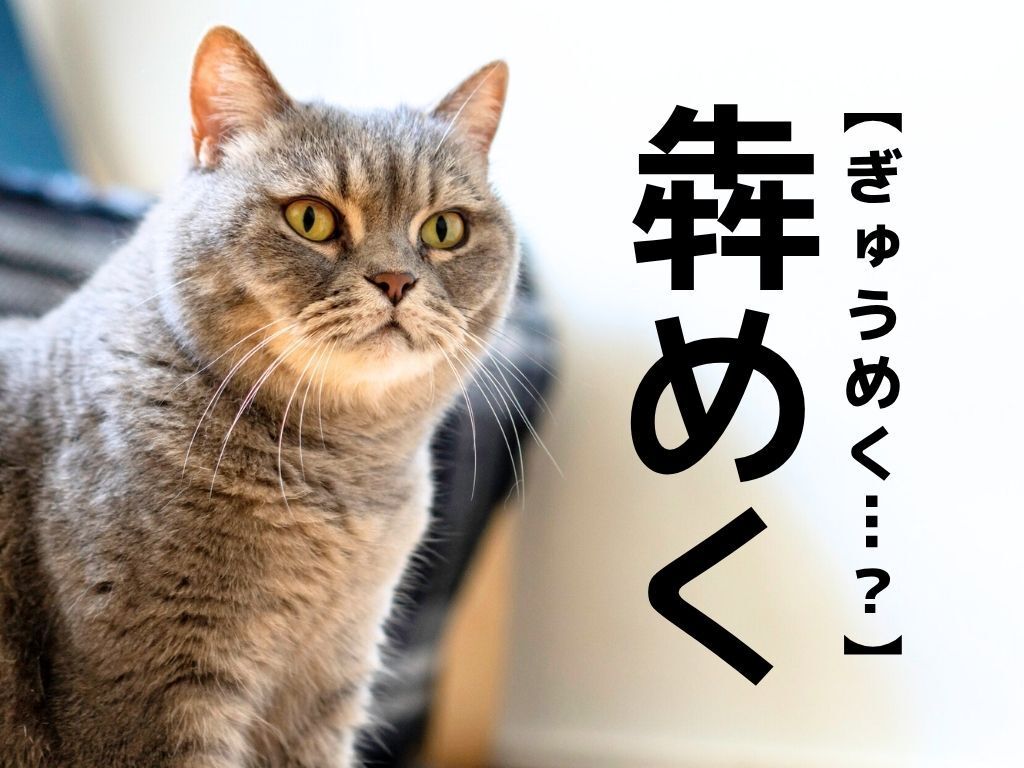 【蠢く】は「うごめく」。では【犇めく】は何と読む？一発で答えられたら天才！｜漢字クイズ