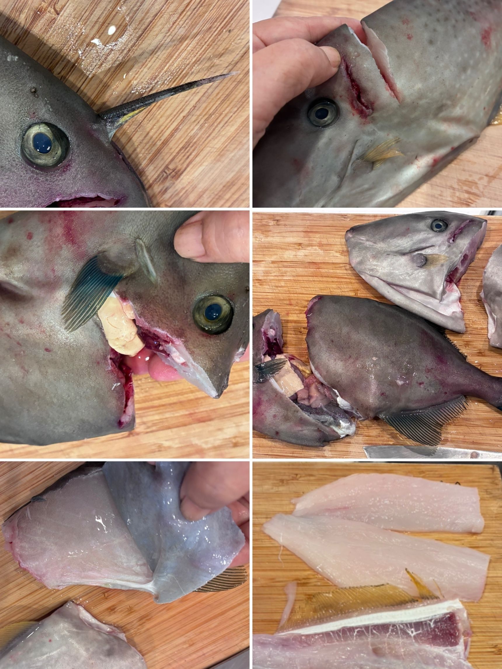 カワハギは煮付けとホイル蒸しに