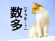 【数多】なんて読む？「すうた…」ではありませんよ！【読めそうで読めない漢字クイズ】