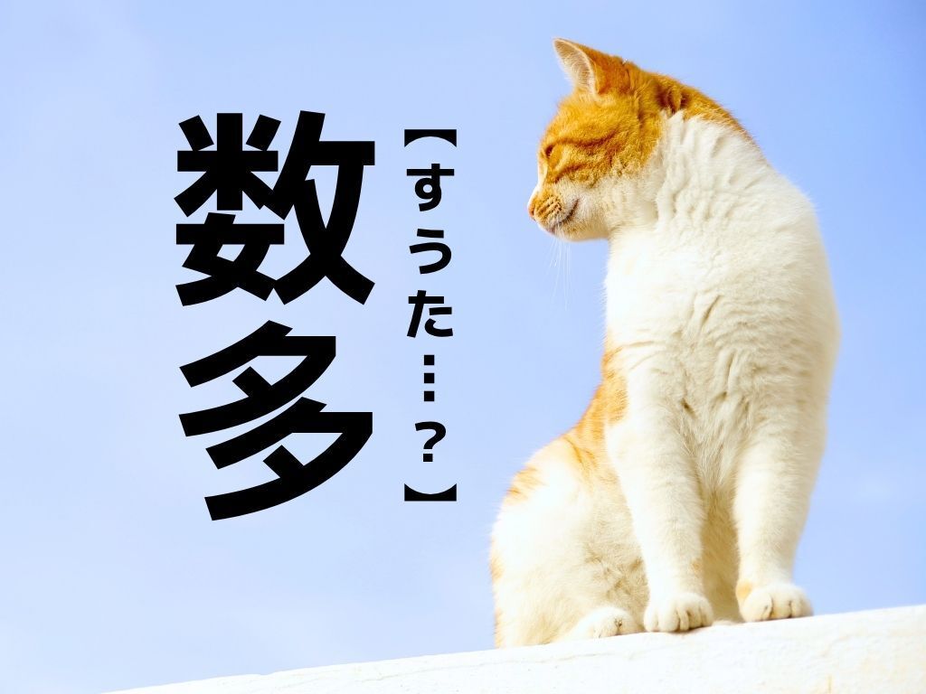 【数多】なんて読む？「すうた…」ではありませんよ！【読めそうで読めない漢字クイズ】
