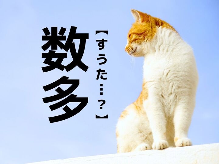 【数多】なんて読む?「すうた…」ではありませんよ!【読めそうで読めない漢字クイズ】