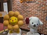 【ミスドミュージアム】ドーナツトッピング体験してきました！