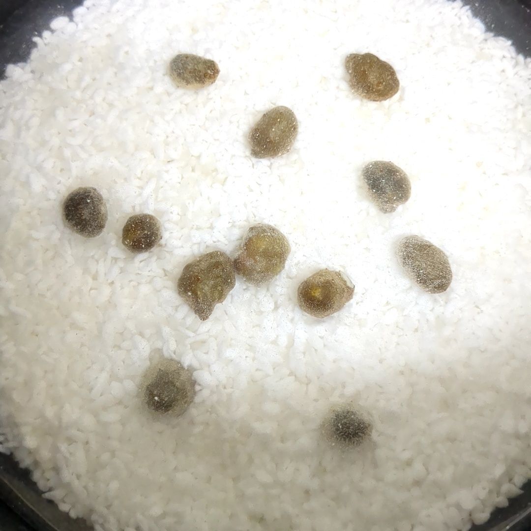 炊飯器にセット！