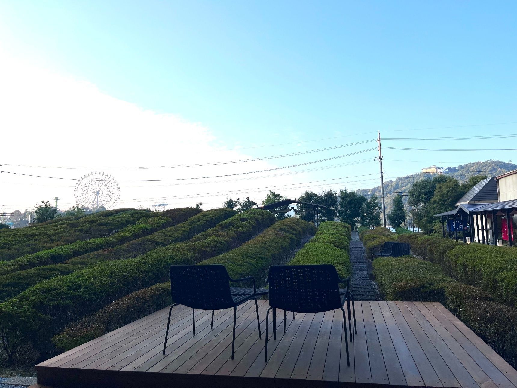 お茶と温泉で自分をいたわる、大人のご褒美旅へ