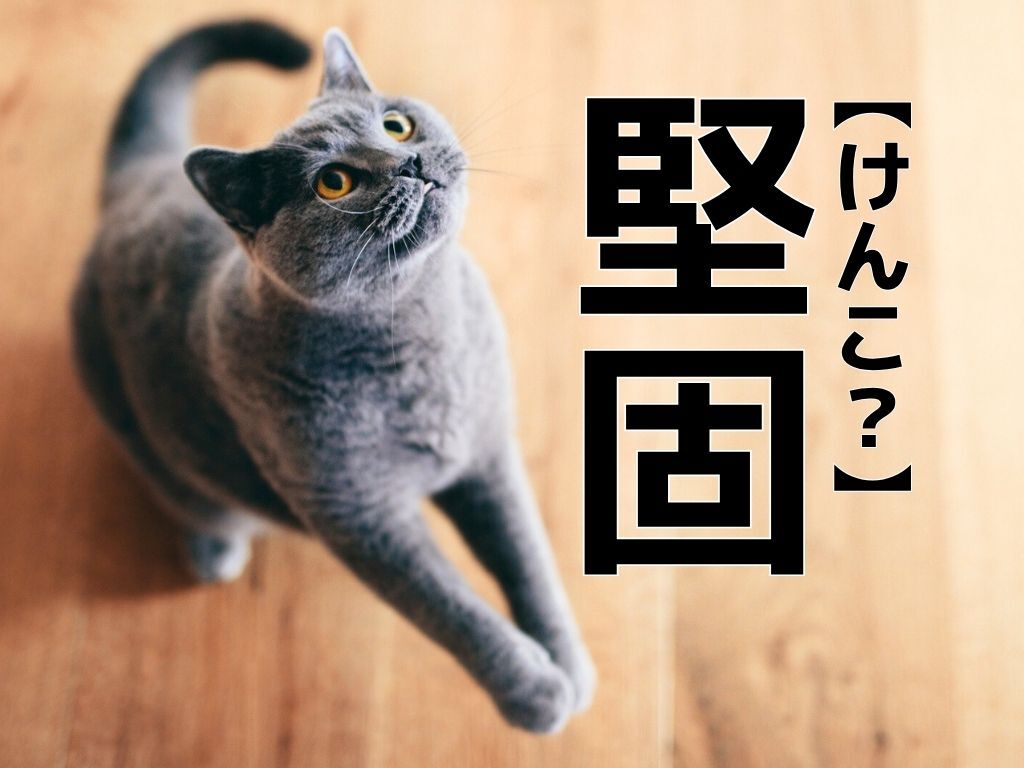 【堅固】は「けんこ」ではありません。正しい読み方知ってる？【読めないと恥ずかしい漢字クイズ】