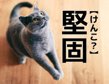 【堅固】は「けんこ」ではありません。正しい読み方知ってる？【読めないと恥ずかしい漢字クイズ】