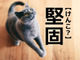 【堅固】は「けんこ」ではありません。正しい読み方知ってる？【読めないと恥ずかしい漢字クイズ】