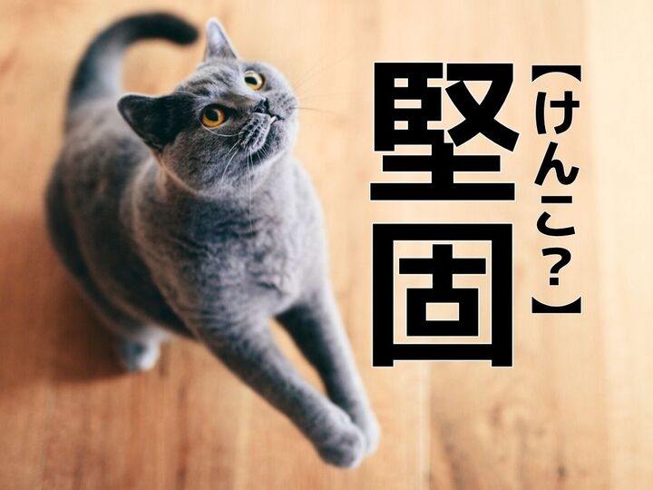 【堅固】は「けんこ」ではありません。正しい読み方知ってる?【読めないと恥ずかしい漢字クイズ】