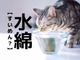 【水綿】なんて読む？「すいめん」でも「みずわた」でもありませんよ！【読めそうで読めない漢字クイズ】