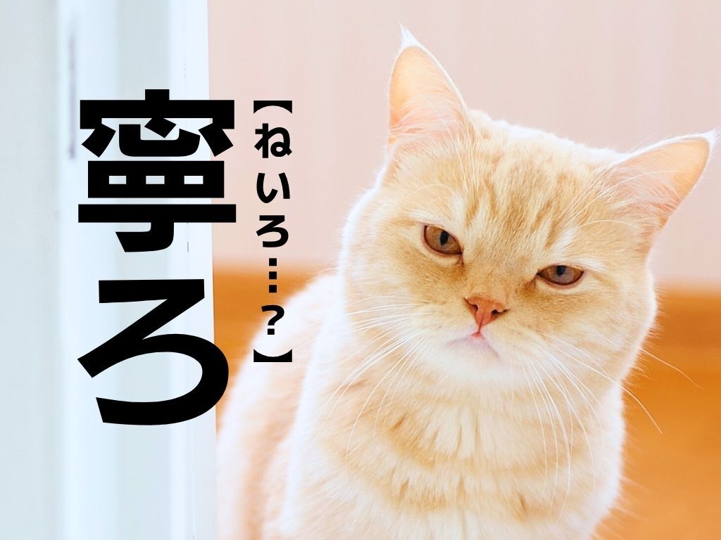 【寧ろ】なんて読む?「丁寧」の「寧」だけど、「ねいろ」ではありませんよ!【読めそうで読めない漢字クイズ】