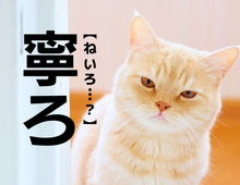 【寧ろ】なんて読む？「丁寧」の「寧」だけど、「ねいろ」ではありませんよ！【読めそうで読めない漢字クイズ】