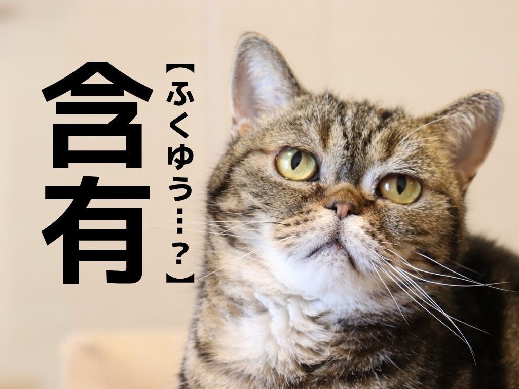 【含有】なんて読む？まさか「ふくゆう」って読んでませんよね…？【漢字クイズ】