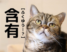 【含有】なんて読む？まさか「ふくゆう」って読んでませんよね…？【漢字クイズ】