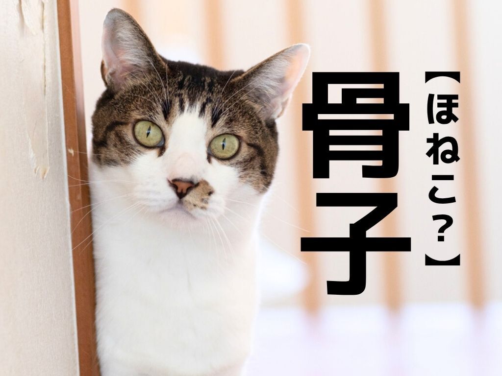 【骨子】なんて読む？「ほねこ…？」ではありません【読めそうで読めない漢字クイズ】