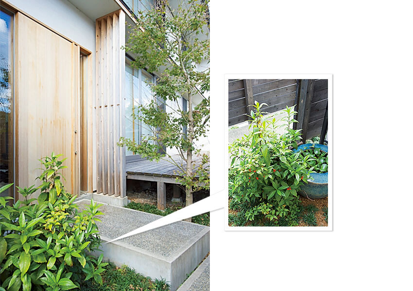 人も自由に通り抜けられるエントランス