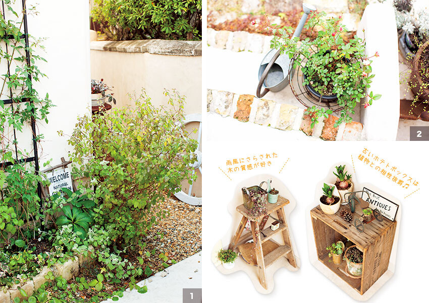 バラとクレマチスが植えられた庭