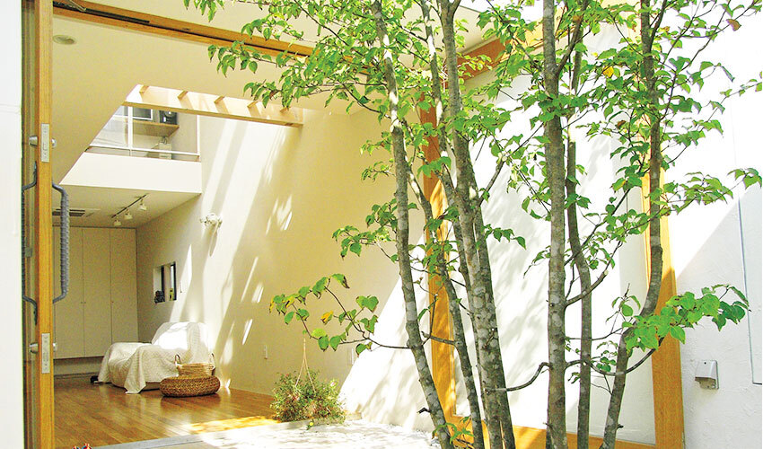 開放感のある玄関とパティオ