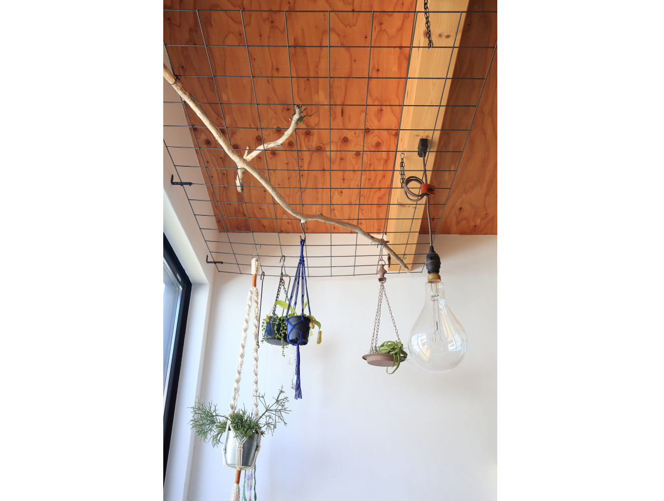 はじめての家づくり:石川さん