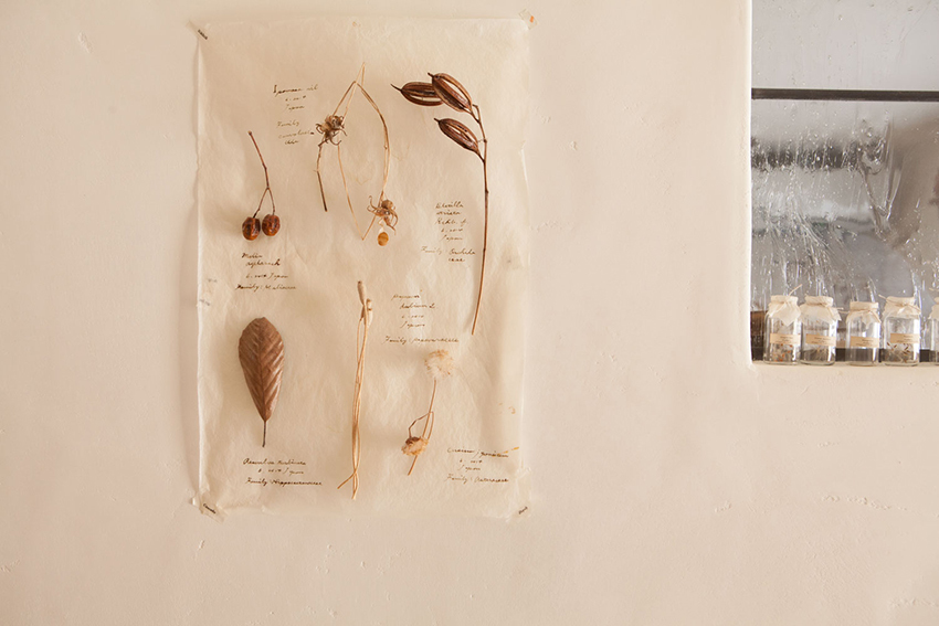 はじめての家づくり:竹内さん