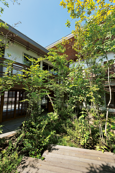 緑豊かなバルコニー""