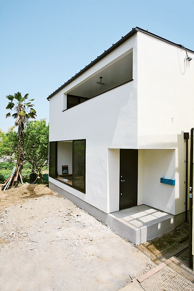 カラフルなホールドをつけてボルダリングのボールドに