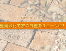 壁面緑化で家の外壁をユニークに！植物を取り入れた壁を　
