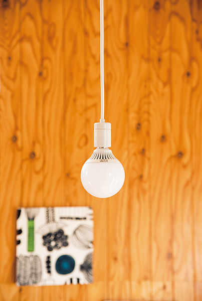 モーガルソケット+電球